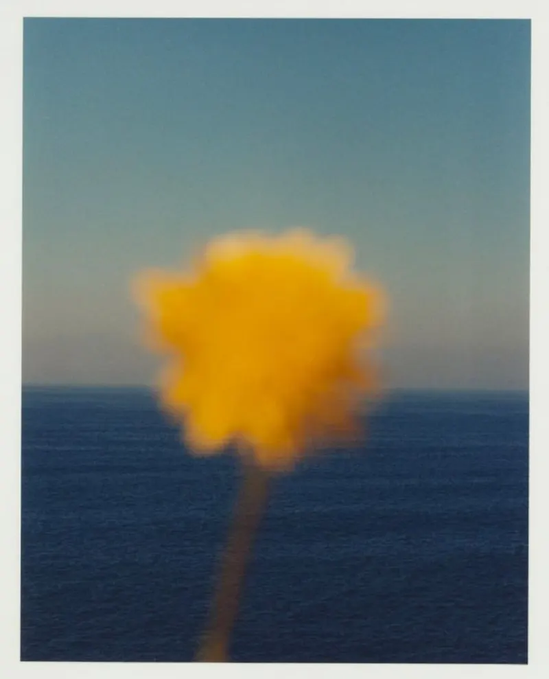 Blurred yellow flower against the sea